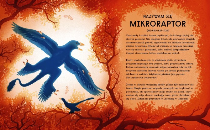 Książka z dinozaurami dla dzieci Wydawnictwo Kropka